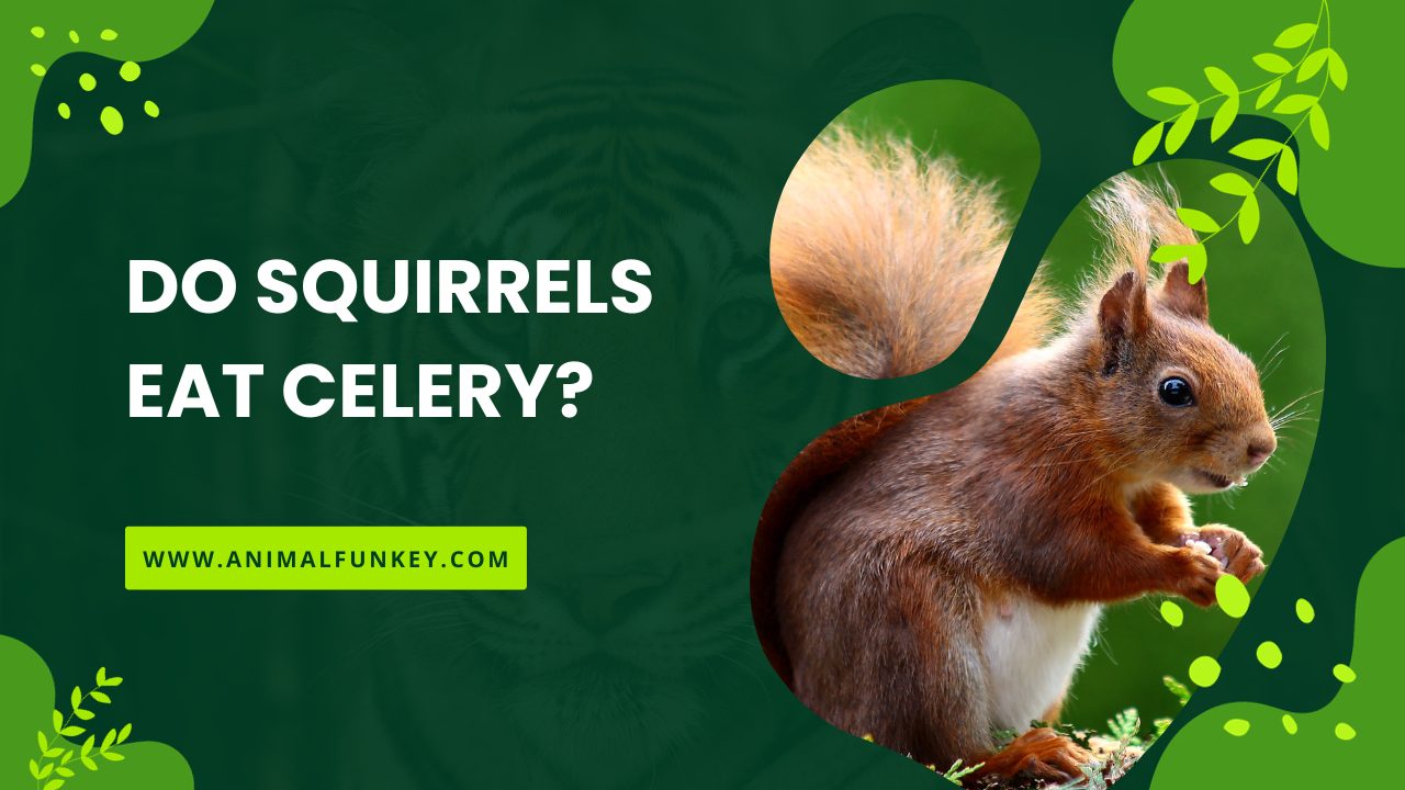 Do Squirrels Eat Celery