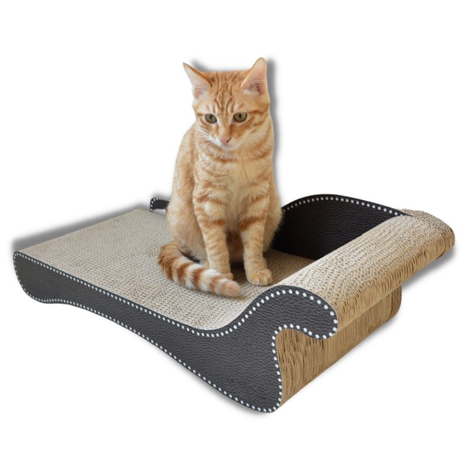 The Rise of Cardboard Car Scratchers for Cats